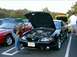 2001 Ford Mustang - Michelle with PETSNKE