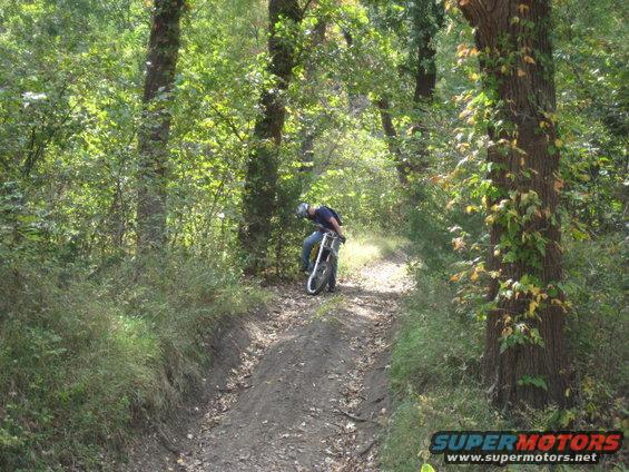 Dirt bike on a wooded trail with a rider