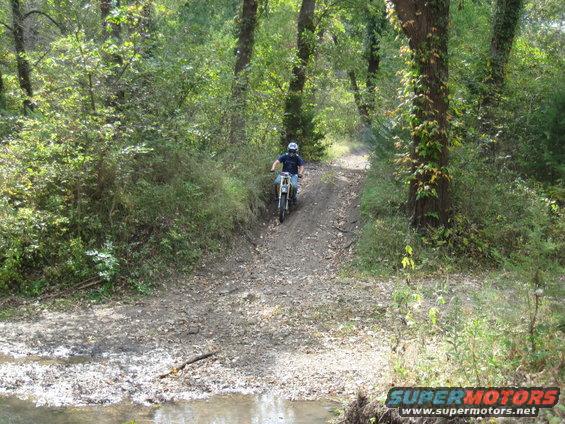 Dirt bike rider on a gravel path through trees, with a small stream in the foreground