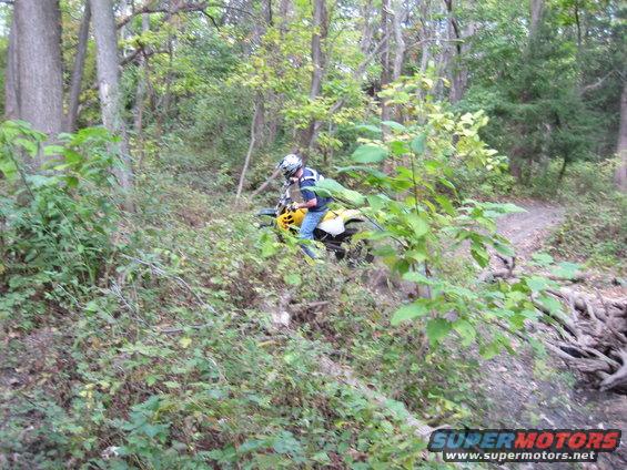 Dirt bike rider on a trail in the woods
