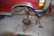 1996 Ford Bronco - The front axle of a red Ford F-250 is disassembled for repair in a garage setting.