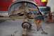 1996 Ford Bronco - The front suspension of a red truck is disassembled, revealing significant rust on the chassis components.