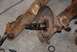 1996 Ford Bronco - Close-up of a rusty front axle assembly, showing a splined shaft and brake rotor, likely from an older truck or off-road vehicle.