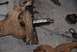 1996 Ford Bronco - Close-up of a heavily rusted vehicle suspension part with a metal shaft, lying on a concrete surface.