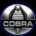 Cobra emblem with blue outline