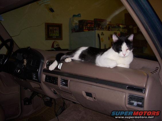 Just installed the new dash pad only for it to be used for a place to nap.....