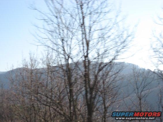 Bare trees in front of a hazy hillside under a bright sky. Supermotors logo in the corner