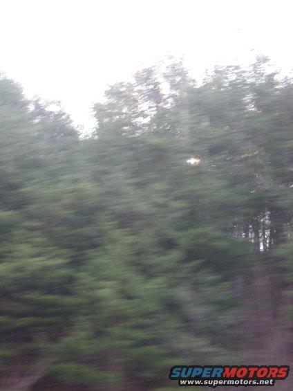Blurry shot of trees and sky, taken from a moving vehicle. Supermotors.net logo in the corner