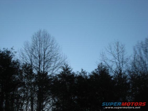 Silhouette of trees against a clear blue sky with a watermark at the bottom right