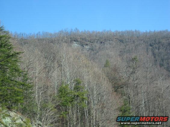Wooded hillside under a clear blue sky with a Supermotors.net watermark