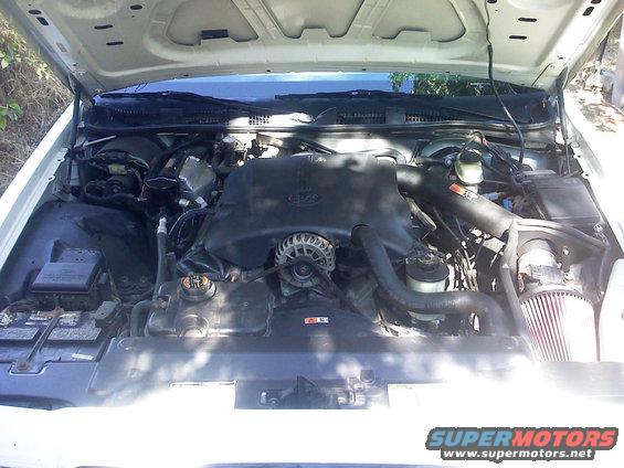 Engine bay with V8 engine and aftermarket air intake