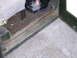 STA70414.JPG