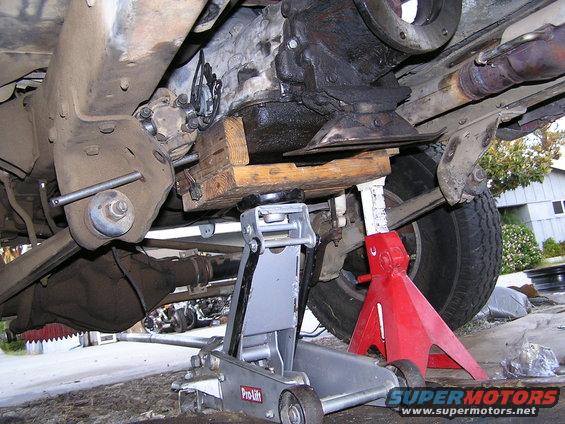 pepe-trans.jpg Pepe' Got a What?