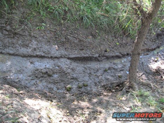 Muddy ditch with tire tracks and some green vegetation on the banks