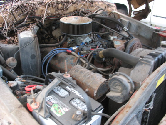 Engine bay with V8 engine, air filter, and battery. Overgrown with branches