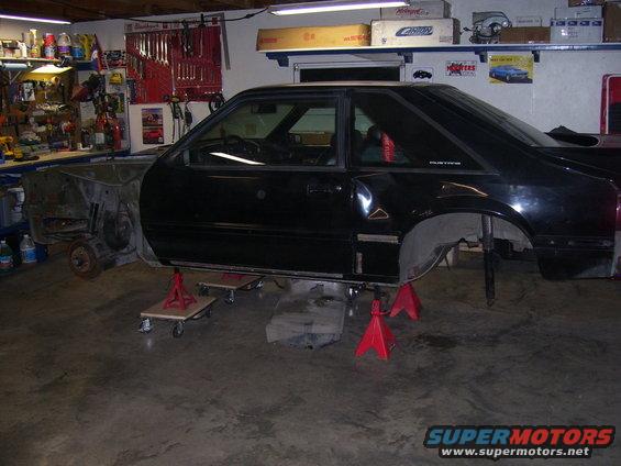 horse-on-jack-stands-4.jpg Look ma----No rearend!!!