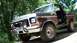 1979 Ford Bronco photo
