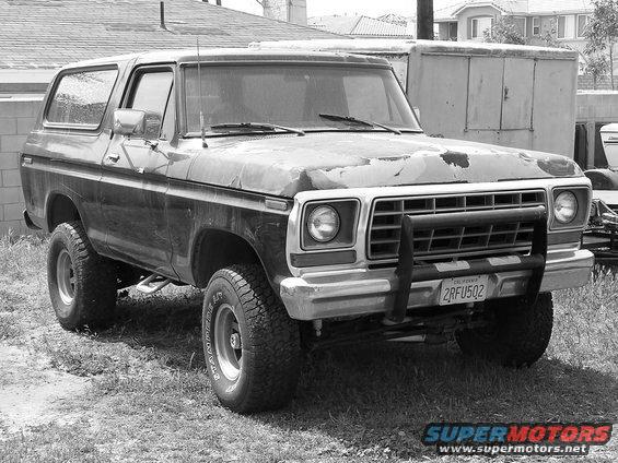 pepe-blackwhite.jpg Project Pepe, Stinky Le Pew, Black and White