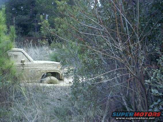 imag01001.jpg Gator food?