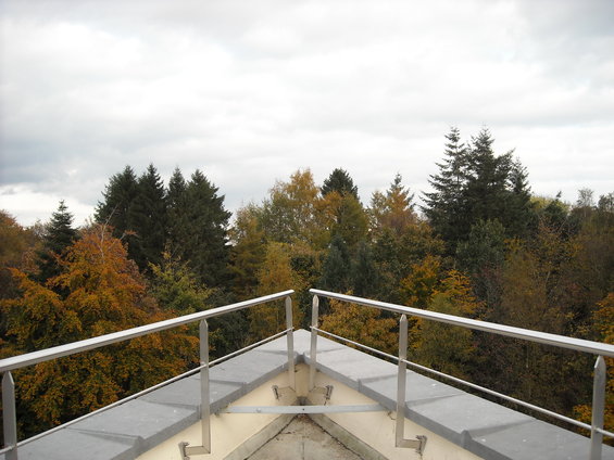 View from a balcony railing overlooking a dense forest with autumn foliage in shades of yellow, orange, and green