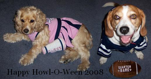 Two dogs, one in a pink and navy striped shirt, the other in a navy and white striped shirt, sit on a carpet next to a football toy labeled 'QUARTER BARK'. Text at bottom reads 'Happy Howl-O-Ween 2008'