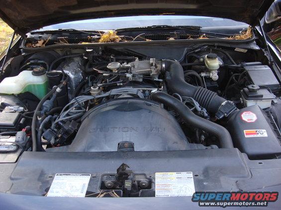 Engine bay with V8 engine, air intake, and various hoses. Leaves are visible in the cowl area