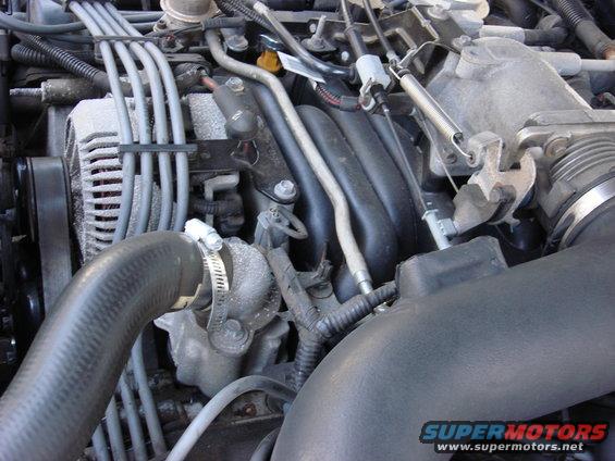 Engine bay with alternator and intake manifold