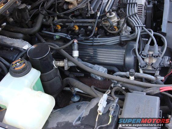 Engine bay with V8 engine, coolant reservoir, and various hoses and wires