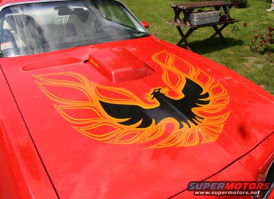Hood Bird