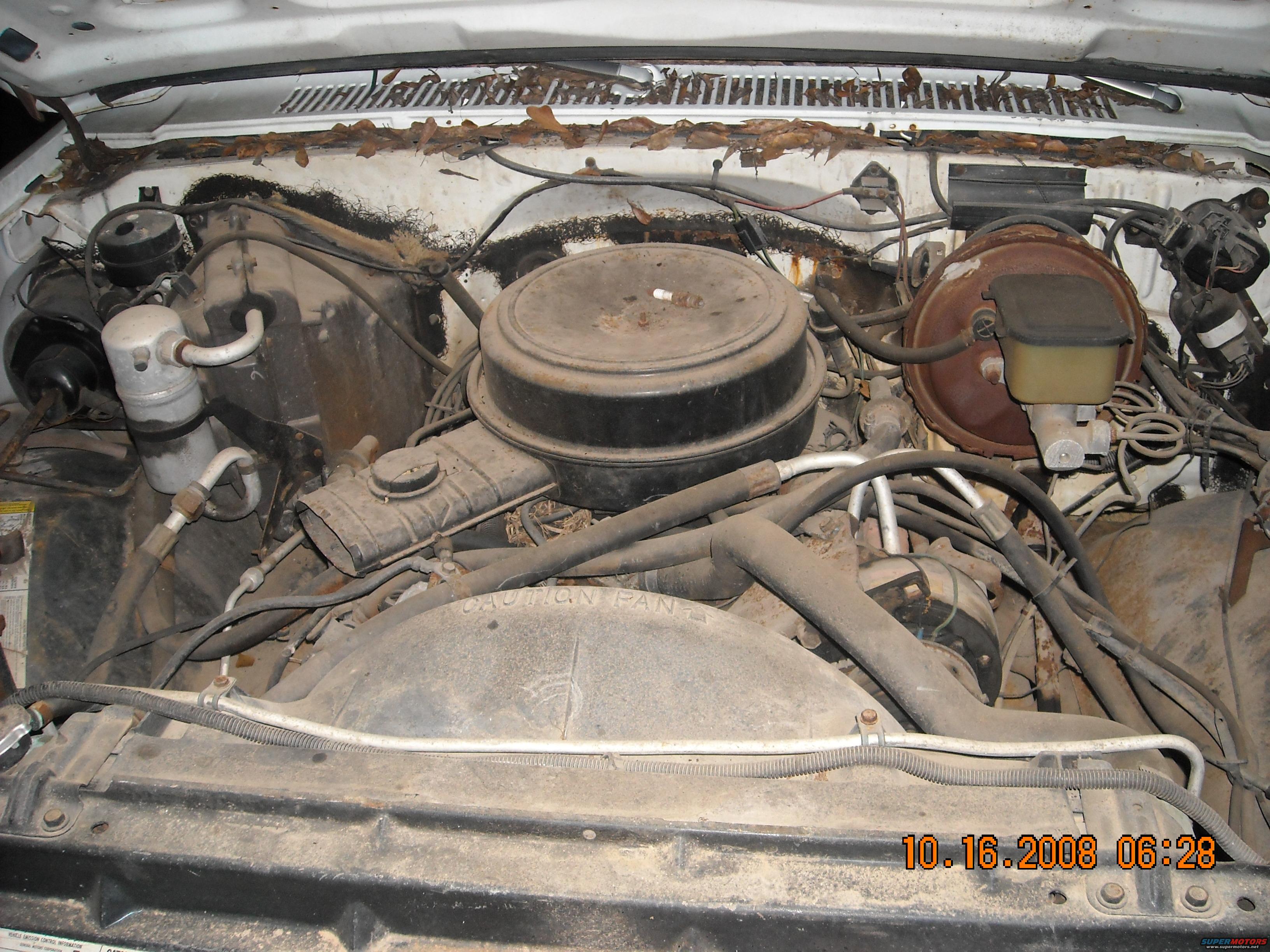1979 Ford Bronco photo