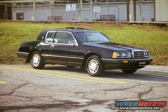 a pic of the blknredcougar