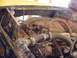 1974 Ford Bronco - The engine bay of a vehicle shows hoses, wiring, and engine components, with the hood open.