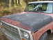 1979 Ford F-150 - Front view of a 1979 Ford F-150 pickup truck with a red body and a matte black hood.