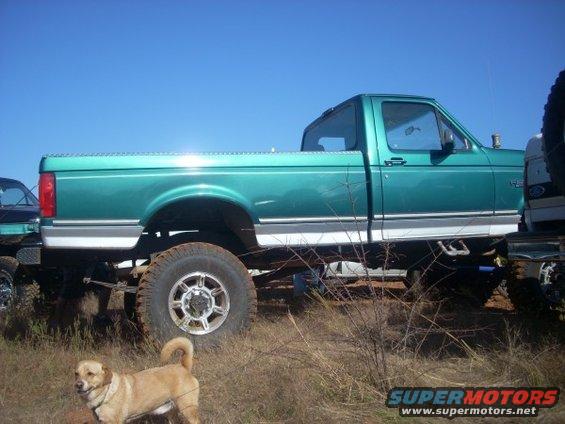 Side view of a lifted green pickup truck with a dog in front