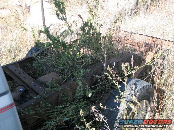 rusted truck frame and tire overgrown with weeds