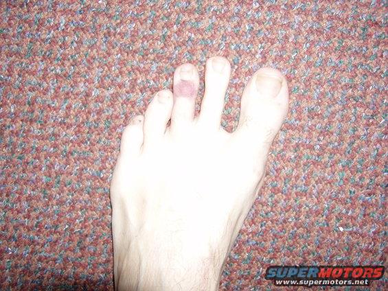 p1010044.jpg Beautiful Toe