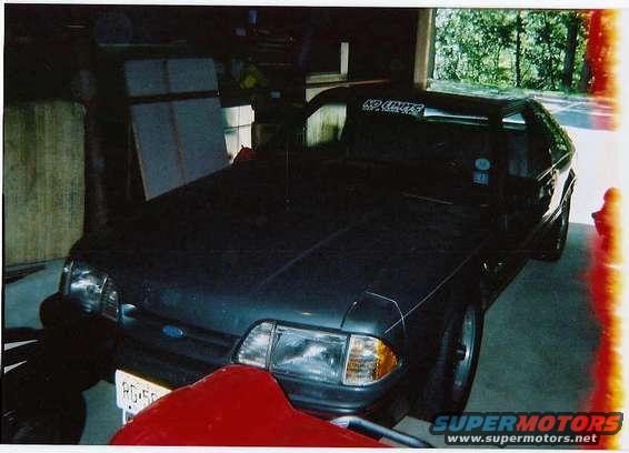scan0001.jpg the stang
