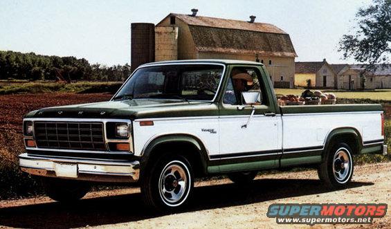81 Ranger Spruce/White