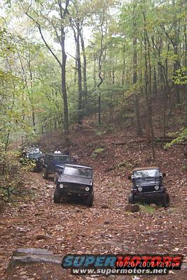 Several off-road vehicles drive down a wooded dirt path