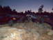 1998 Jeep Cherokee - Multiple Jeeps are shown off-roading over a rocky terrain as the sky darkens.