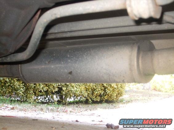 Underside view of a vehicle's muffler and exhaust pipe, with bushes in the background