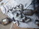 2002 Chevrolet Camaro - Two exhaust manifolds and catalytic converters are shown resting on a cloth, possibly before installation or after removal.