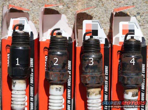 plugs (driver's bank)