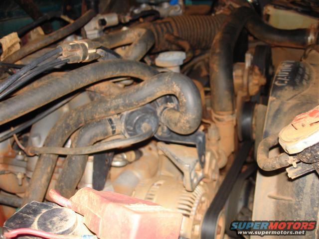 dsc01705-(small).jpg 
