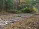 1996 Ford Bronco - A dry creek bed winds through a forest with trees showing autumn colors.