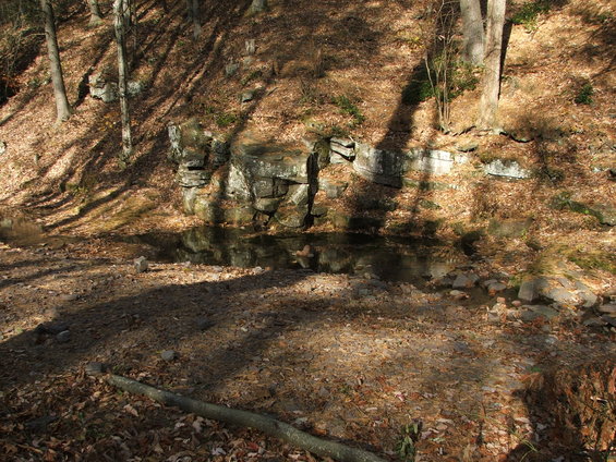 campsite4.jpg 