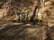 1996 Ford Bronco - A natural scene in a wooded area with a small pool of water reflecting the surrounding trees and rocks.