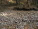 1996 Ford Bronco - A dry streambed filled with rocks and fallen leaves, surrounded by trees.