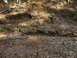 1996 Ford Bronco - A forest stream flows through a rocky bed covered in autumn leaves.