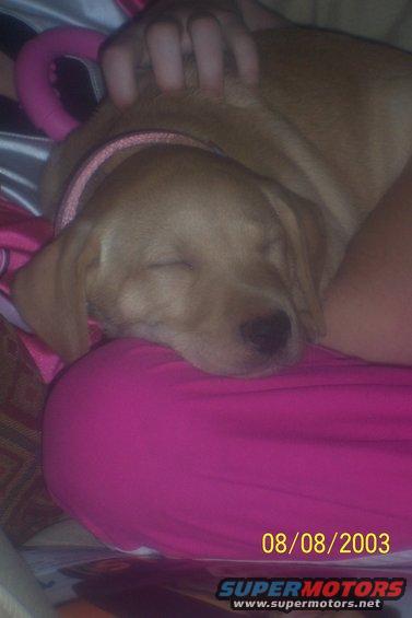 100_2259.jpg Bella